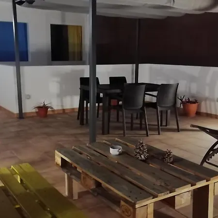 Sheep * 大加那利岛拉斯帕尔马斯